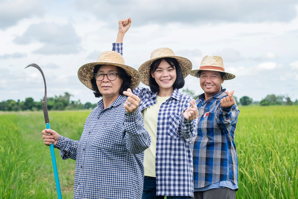 โครงการพัฒนาเศรษฐกิจชุมชน สร้างรายได้ให้เกษตรกร
